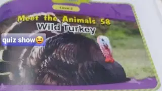 Quiz show | ep 58 | wild turkey🤗🤗🤗