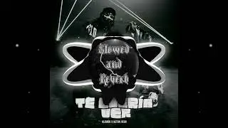 Alemán, Neton Vega - 