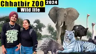 Chhatbir Zoo in Chandigarh | 🦖🦕 Chhatbir Chidiya Ghar | Dinosaur Park