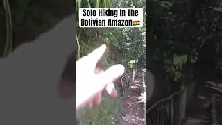 Close Call Solo Hiking In Bolivian Amazon!🇧🇴#spider #adventure #amazonas #bolivia #travel #jungle
