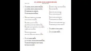 A ti, Señor, en mi clamor imploro