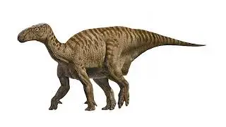 Iguanodon Sounds