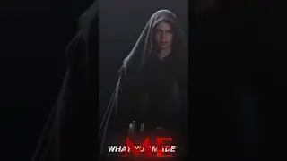 Anakin Skywalker - What have you become