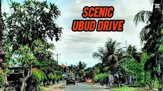 The Beauty of Ubud from the Road | Scenic Bali Drive🚗🌿 | Noor e Azal