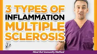 [3 Types of Inflammation] Multiple Sclerosis Neurology Specialist Doctor Explains Chemical Pathways
