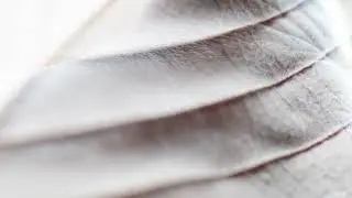 FUGITIVES 7 &middot; Irina Lankova piano, Isabelle Fran&ccedil;aix video