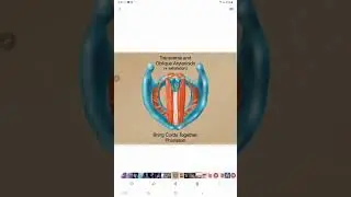 2 - كيف يحدث الصوت