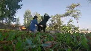#23 Scratching a Malayan tapir to lay down in less than 60 seconds!