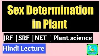 Sex determination in plant | JRF | SRF |NET| Plant science|CET