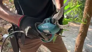 Garden Trimming with a 36V Cordless Trimmer &ndash; Easy Angle Cuts