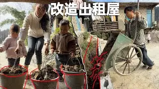 出租房被李俊小琴改造得越来越好，在山里居住四年了，一儿一女都会贴体父母帮忙干活，一切都值了