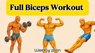 Big biceps workout (weekly plan)