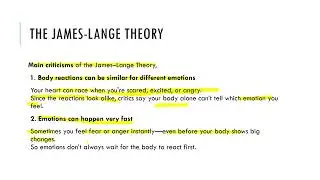 The James Lange Theory