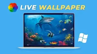 How to Set Live Wallpaper in Windows 10/11 PC