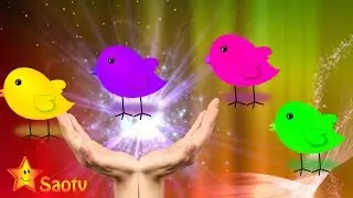 Learn Colors for Children with Chicken   SaoTV   Finger Family Songs