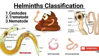 Helminths Classification ||  #Nematode || #Cestode || #Trematode