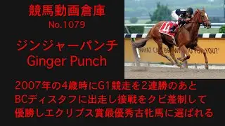 【競馬】ジンジャーパンチ　Ginger Punch【No1079】