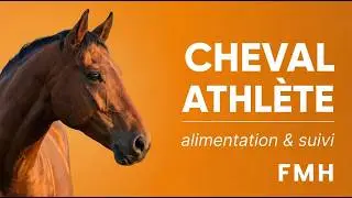 Alimentation adapt&eacute;e   Le suivi alimentaire du cheval athl&egrave;te   Charles Barr&eacute;   IENA   Institut &Eacute;que