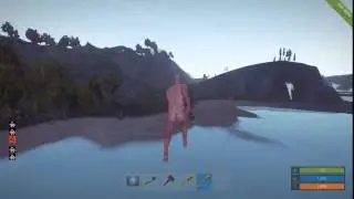 Rust Experimental bugin the plugin Flying