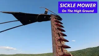 Sickle Mower Action - Cutting Hay on High Ground w/ MF 50 Diesel & Model 32 Sickle Mower