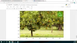 Crop Yield Assessment from Photos with Python and Scikit-Learn