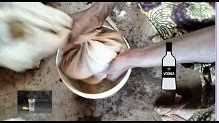 Homemade Vodka How Hadzabe Bush Do  #live 🍯🍻 Traditional Drink  v2 &ndash; Must Watch #villagelife