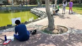 Парк оливковых деревьев. Лима, Перу. Атмосферное видео