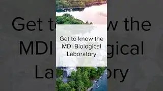 What is the MDI Biological Laboratory? #standwithscience #researchmatters