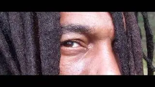 Tuff Lion 