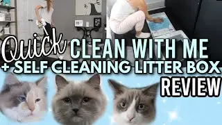 GYPSY WIFE LIFE CLEAN WITH ME + PETSAFE SCOOPFREE LITTERBOX REVIEW &hearts;