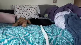 Felix wand play