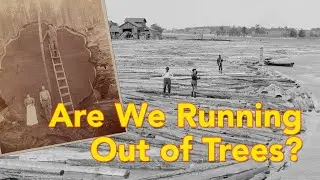 Are We Running Out of Trees? The History of U.S. Forest Resource Management
