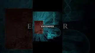 ENTP: Perfil Comportamental no Teste MBTI com Laudo HMI