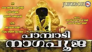 പാമ്പാടി നാഗപൂജ | PAMBADI NAGAPOOJA | Hindu Devotional Songs Malayalam | Nagaraja Songs
