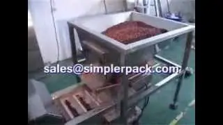 【large vertical beans packing machine】-ZHYPACK