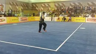 Nanquan optional | southern kung fu | wushu nanquan
