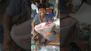 Incredible Giant Katla Fish Cutting By Expert Fish Cutter#fishcutting  #biswajitcreation #shorts