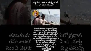 Tanuku News 📰 #tanuku #tanukucity #tanukunews #viralvideo #shortsvideo #memes