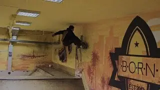 Born to skate