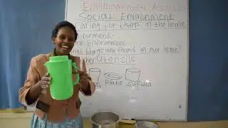 Environmental activities (Caring for things in the home)