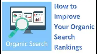How to Improve Your Organic Search Rankings