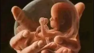 Pro Life Homily of Fr Morty O&rsquo;Shea, SOLT. 
