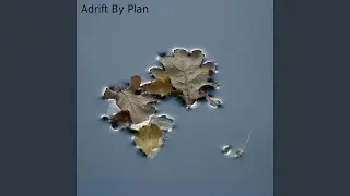 Adrift By Plan