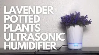Lavender Potted Plants Ultrasonic Humidifier with Auto Shut-Off