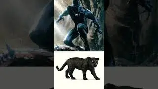 Avengers vs animals