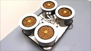 Tsunami Flood & Drain - Poseidon Hydroponic Systems