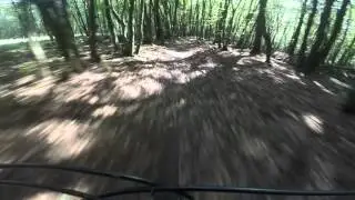 Wienerwald MTB