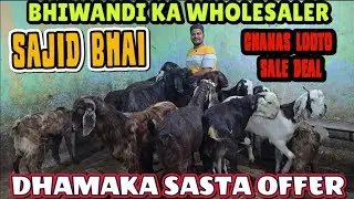 Wholesaler🔥Offer Itna Sasta🤯 Phir Nahi Chanas😱 Looto Aur Shouk Karo || Sajid Bhai Bhiwandi Mumbai ||
