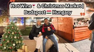 Hot Wine 🍷& Christmas Market🎄 | Budapest 🇭🇺#hungary