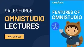 Lecture 2:Salesforce OmniStudio Features 2025: Best Practices Guide